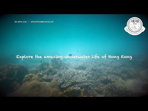 SDSN_HK_SDG 14_ca